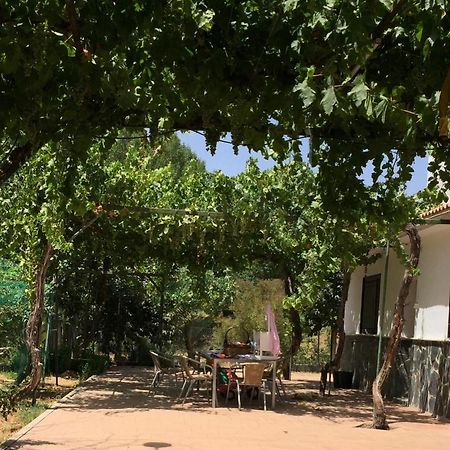 Casa De Ines Villa Alhama de Granada Eksteriør billede